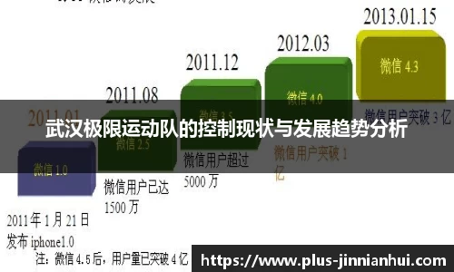 武汉极限运动队的控制现状与发展趋势分析